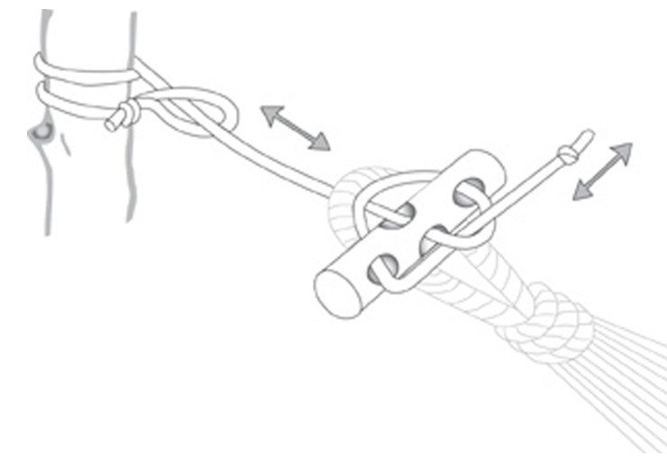 Fixation pour hamac Amazonas Microrope