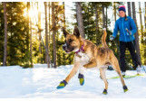 Bottines pour chien Ruffwear Polar Trex