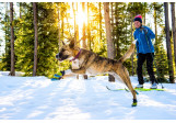 Bottines pour chien Ruffwear Polar Trex