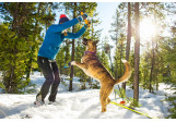 Bottines pour chien Ruffwear Polar Trex