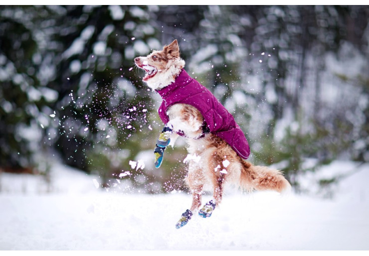 Bottines pour chien Ruffwear Polar Trex