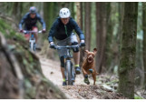 Bottines pour chien Ruffwear Polar Trex