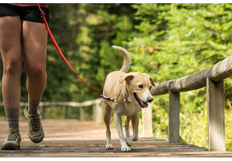 Ruffwear Chain Reaction