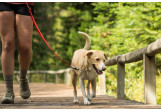 Ruffwear Chain Reaction