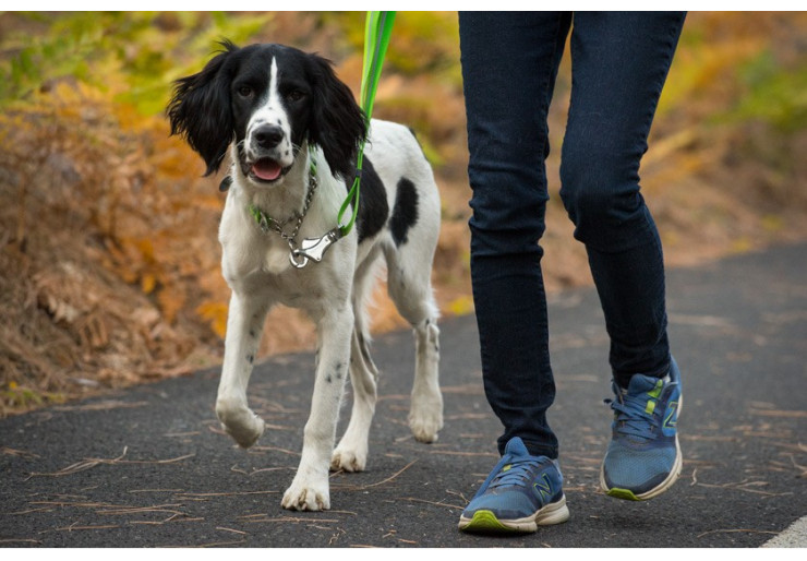 Ruffwear Chain Reaction