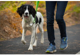 Ruffwear Chain Reaction