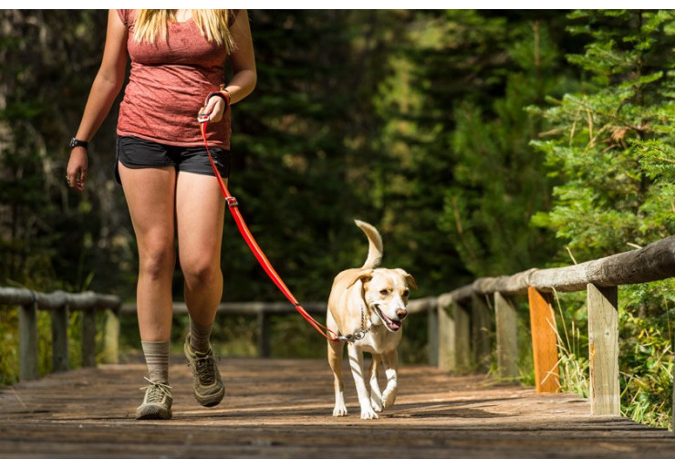 Ruffwear Chain Reaction