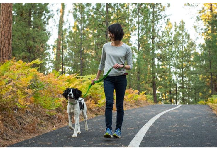 Ruffwear Chain Reaction