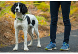 Ruffwear Chain Reaction