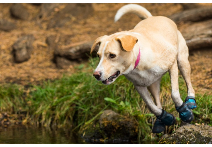 Bottines chien Ruffwear Grip Trex Rouge