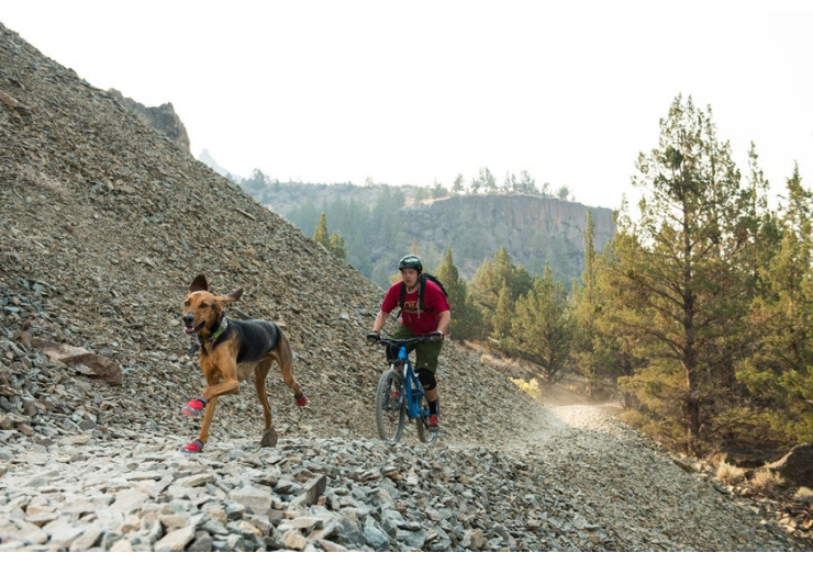 Bottines chien Ruffwear Grip Trex Rouge