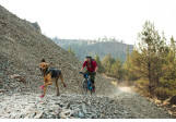 Bottines chien Ruffwear Grip Trex Rouge