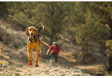 Bottines chien Ruffwear Grip Trex Rouge