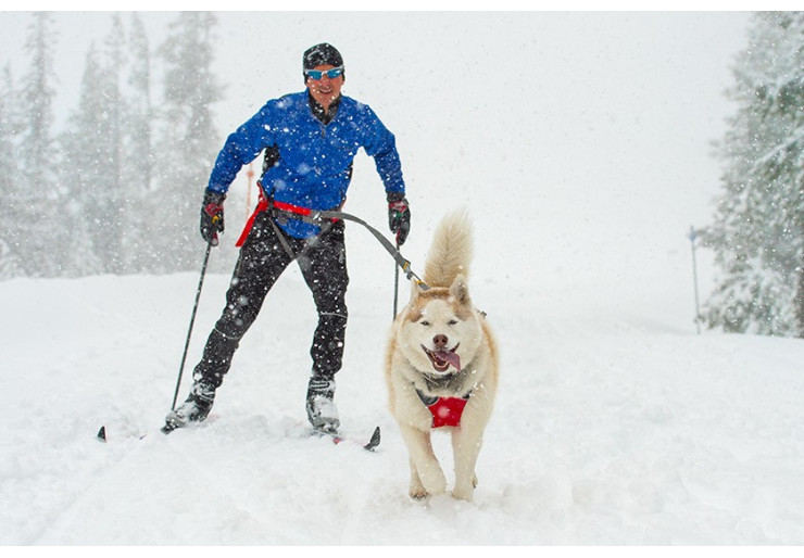 Harnais Ruffwear Ominjore