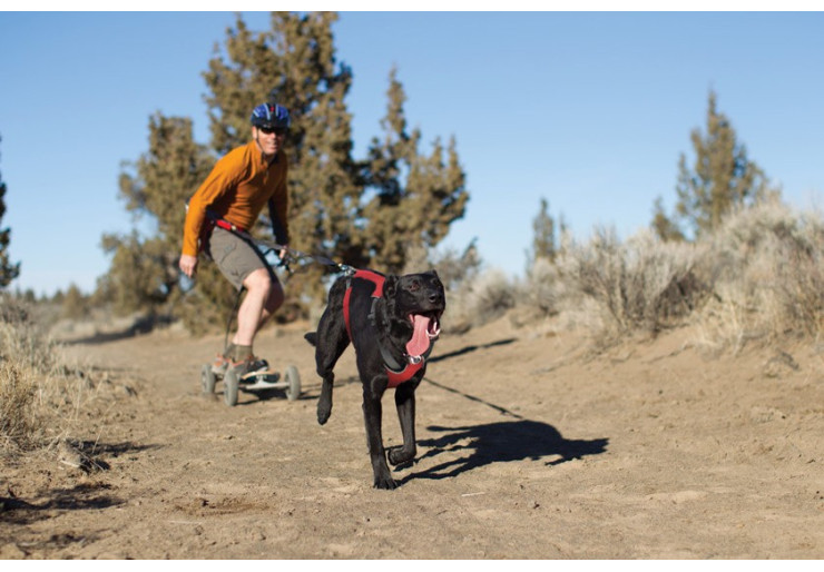 Harnais Ruffwear Ominjore