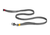 Laisse pour chien Omnijore Ruffwear