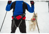 Laisse pour chien Omnijore Ruffwear