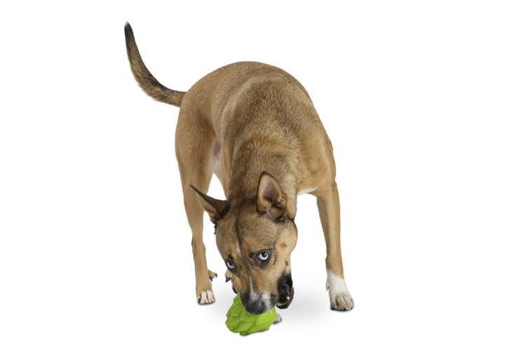 Jouet pour chiens Planet Dog Artichaut