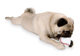 Jouet pour chiens Planet Dog Balle de Baseball