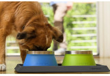 Ruffwear Tapis Basecamp
