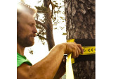 Slackline Classic Line Gibbon