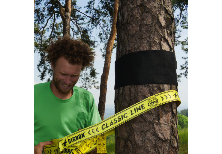 Tree Wear Gibbon