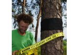 Tree Wear Gibbon