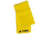 Slackrack Fitness Gibbon