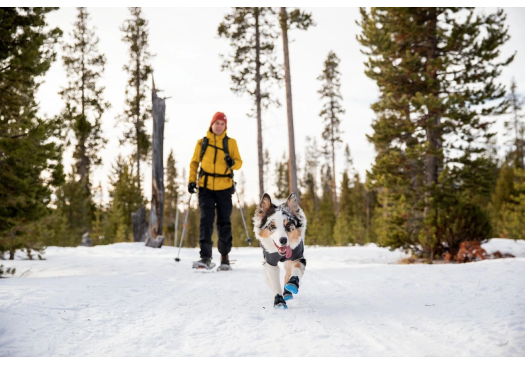 Bottines pour chien Ruffwear Polar Trex