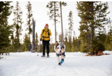 Bottines pour chien Ruffwear Polar Trex
