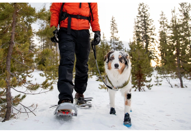 Bottines pour chien Ruffwear Polar Trex