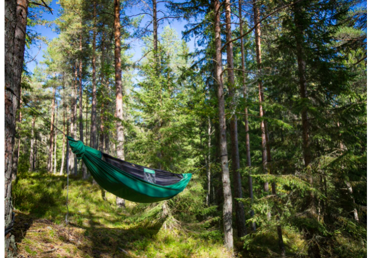 Hamac TTTM Lightest Pro Vert Forêt