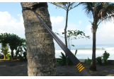 Sangle TTTM Moon Straps