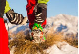 Micro crampon Nordic Nortec