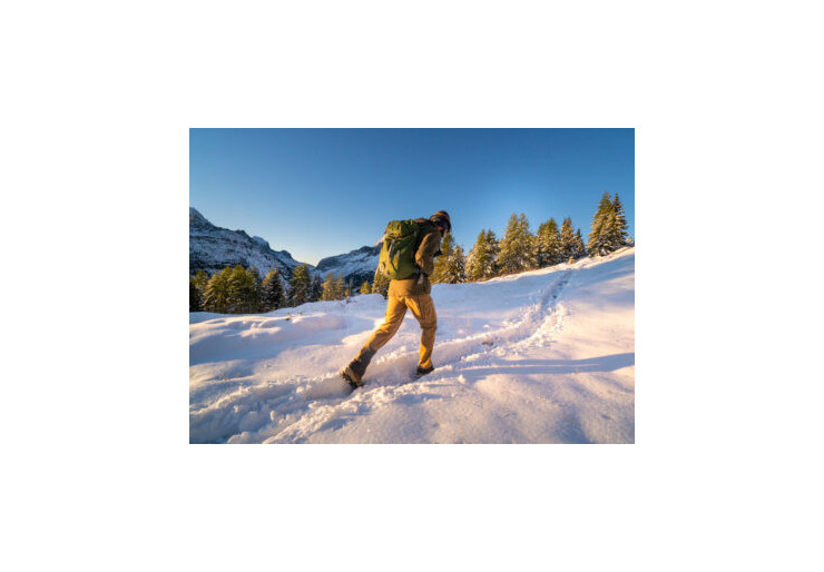 Micro crampon taillle M Alp Forest Nortec