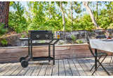Table roulante Acier noir Forge Adour