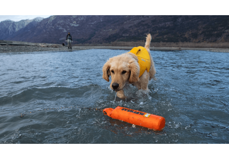 Jouet pour chien Ruffwear Lunker