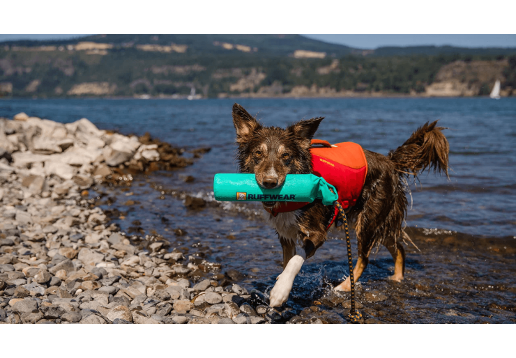 Jouet pour chien Ruffwear Lunker