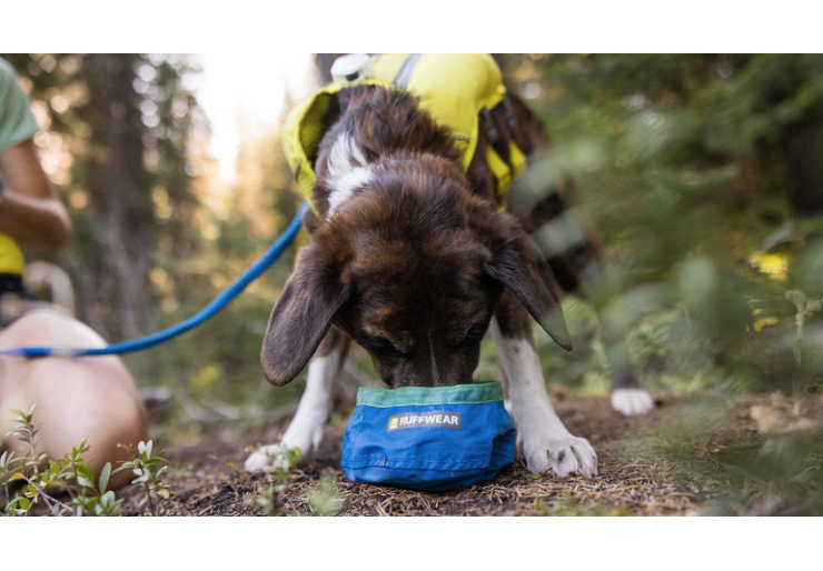 Gamelle Ruffwear Trail Runner Blue pool