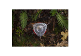 Kit de conversion Primus MultiFuel Spider