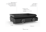 Plancha électrique Forge Adour Base 60 Inox