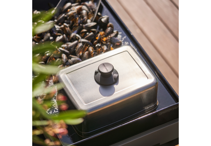 Cuiseur & grille Titane Forge Adour