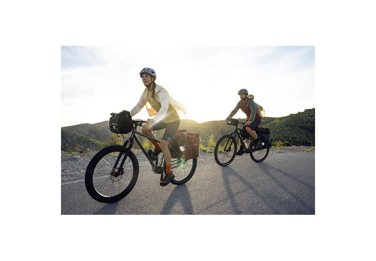 Sacoche de vélo Back Roller Plus Moss green Ortlieb