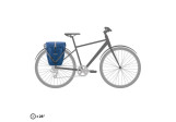 Sacoche de vélo Back Roller Plus Moss green Ortlieb