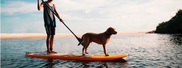 Paddle Surf, SUP gonflables, Stand Up Paddle