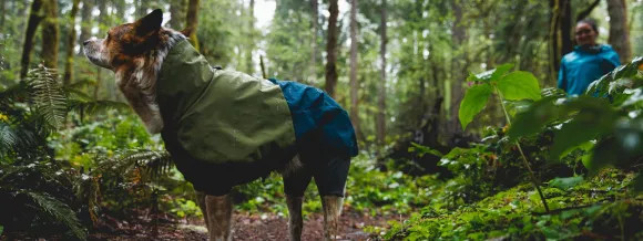 Vêtements et bottines pour Chiens Actifs RUFFWEAR